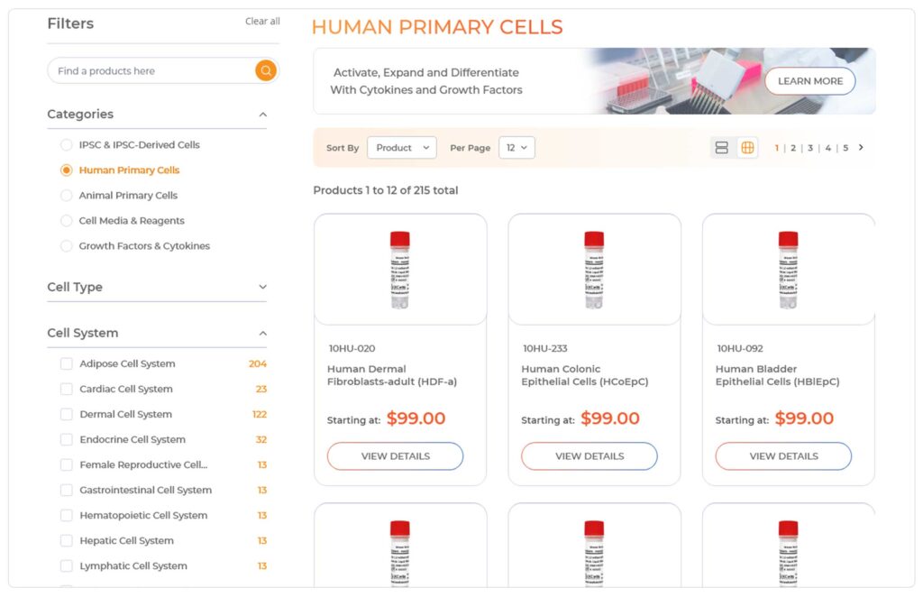 web-preview web preview 11