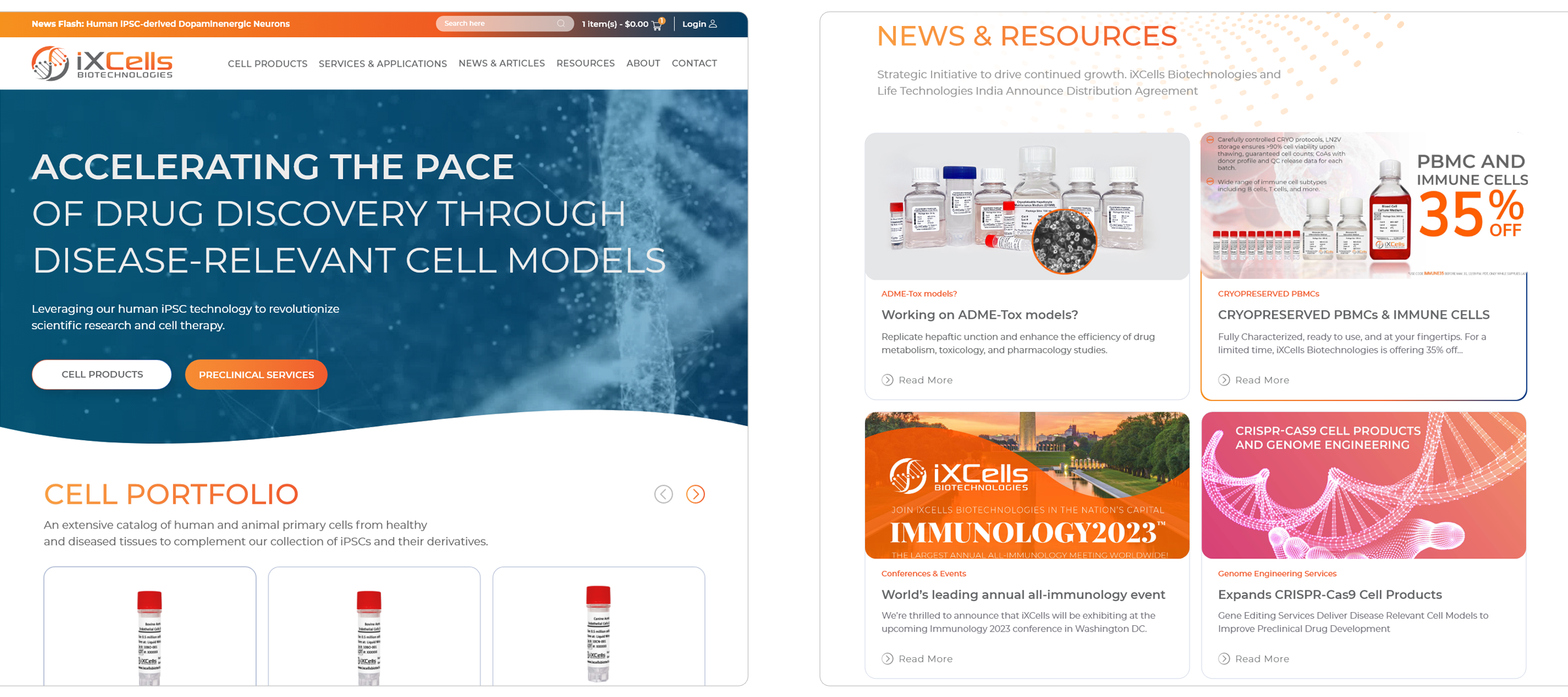 web-gfx-portfolio-2400x-iXCell-01 web gfx portfolio 2400x iXCell 01